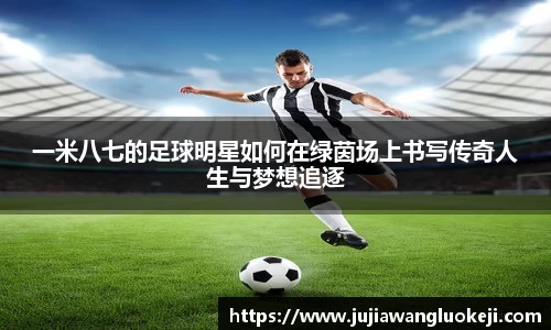 zoty中欧官方网站